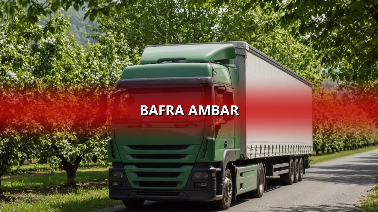Bafra Ambar