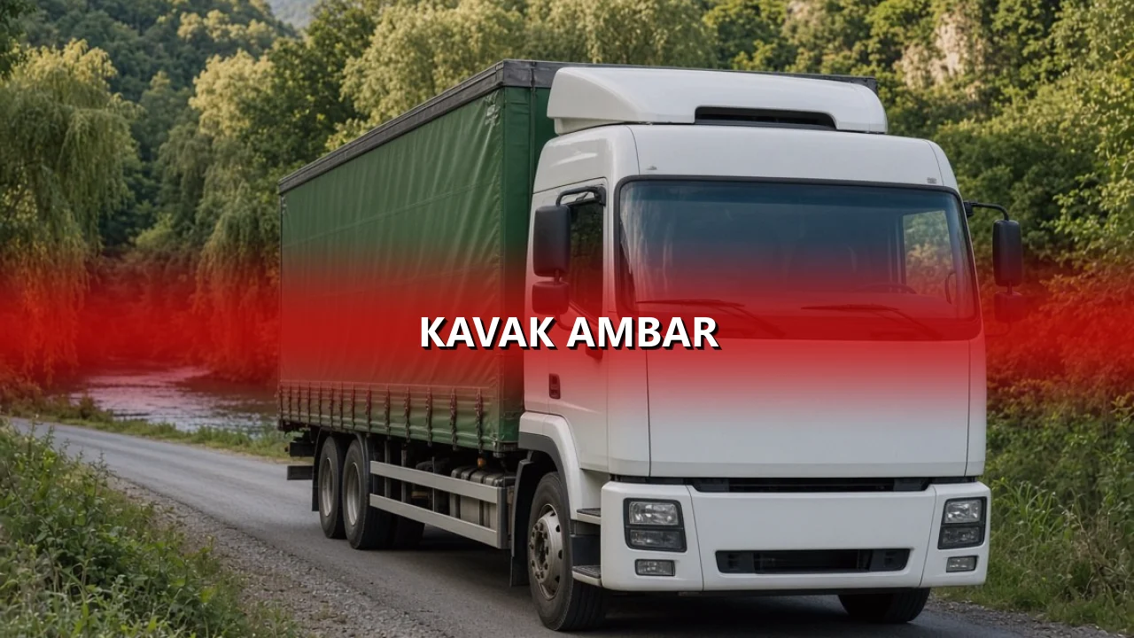 Kavak Ambar