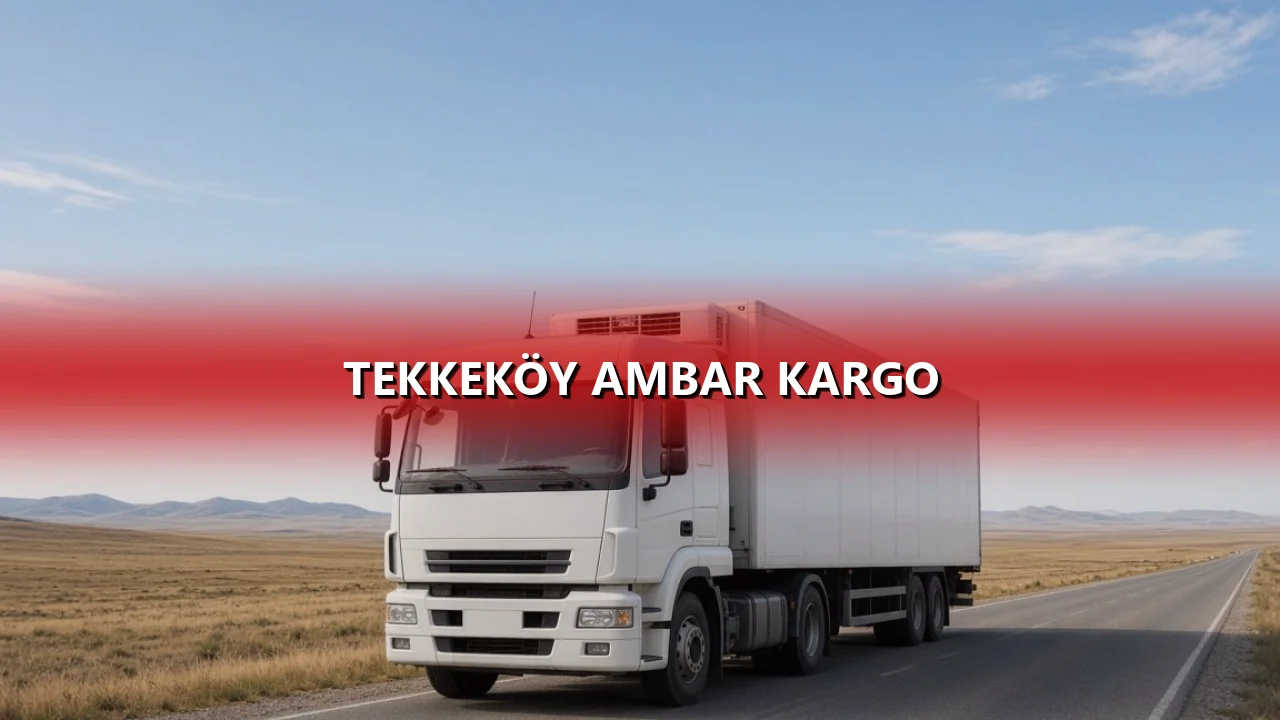 Tekkeköy Ambar Kargo